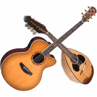 SONGS